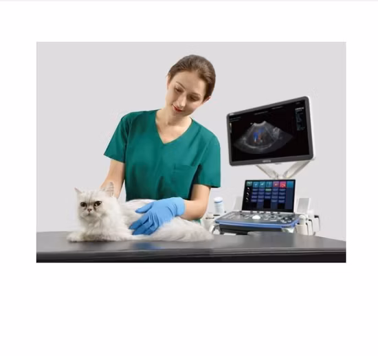 CE, ISO Scanner Sistema de diagnóstico digital de vaca Máquina de ultrassom portátil com preço baixo